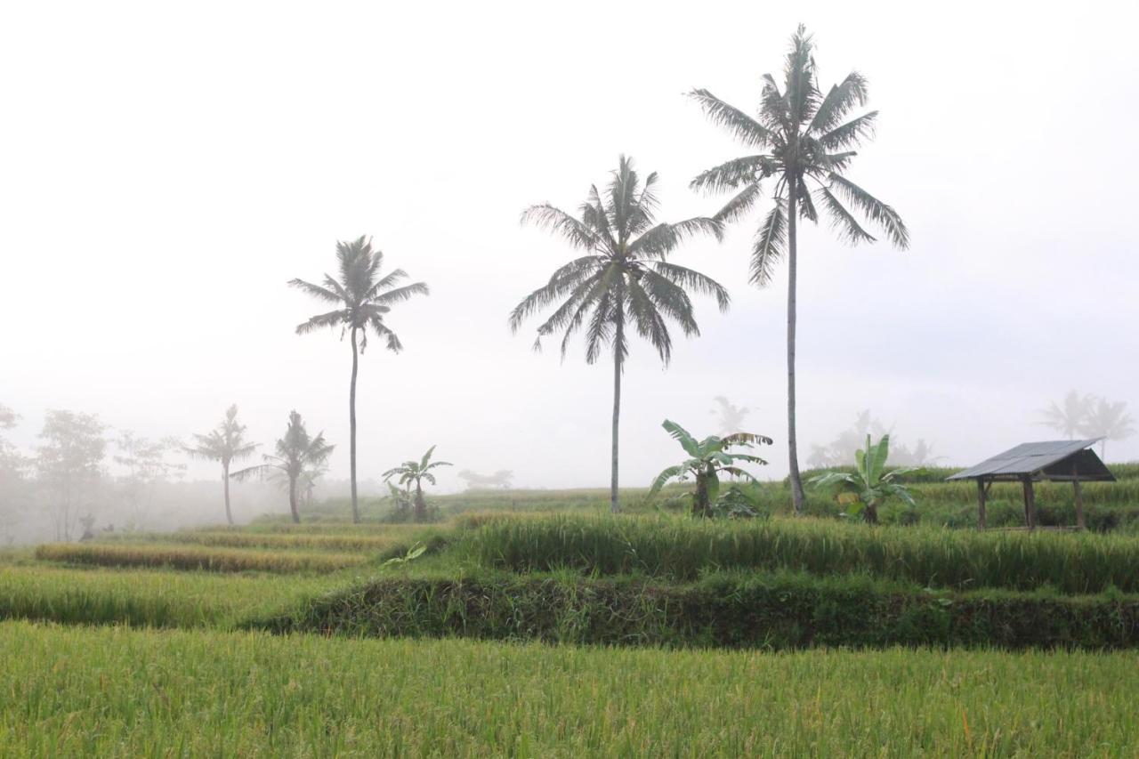 Agus Hidden - Banjar Sweet Village * Banyuwangi (East Java)